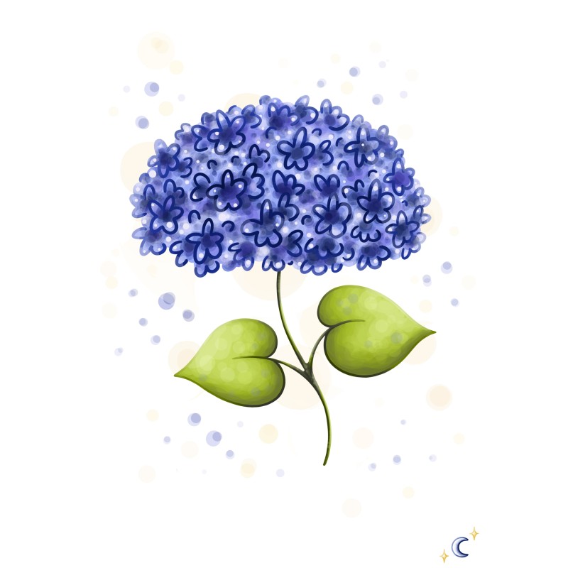 Hortensia