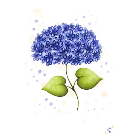 Hortensia