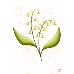Muguet