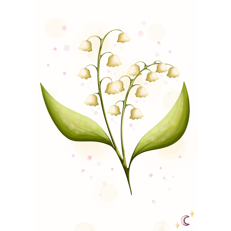 Muguet