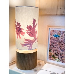 Lampe Algues