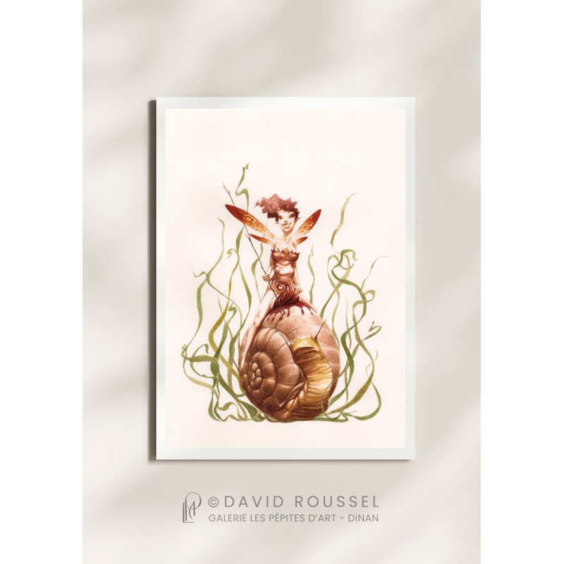 Fée Escargot