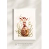 Fée Escargot