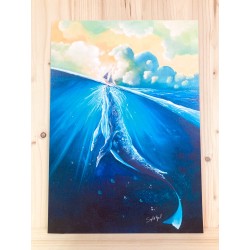 Baleine Voilier Mer