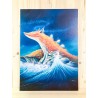 Renard des Mers