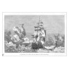 Antarctique . Navires