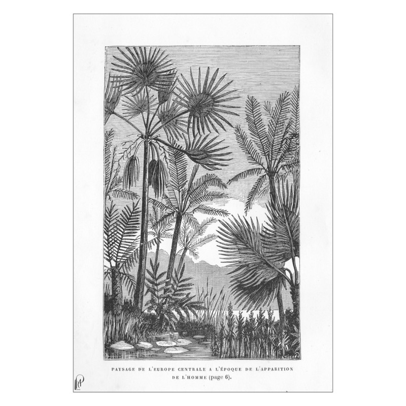 Paysage Paléolithique