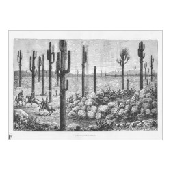 Arizona . Pierres Gravées