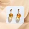 Cosmos . Ambre